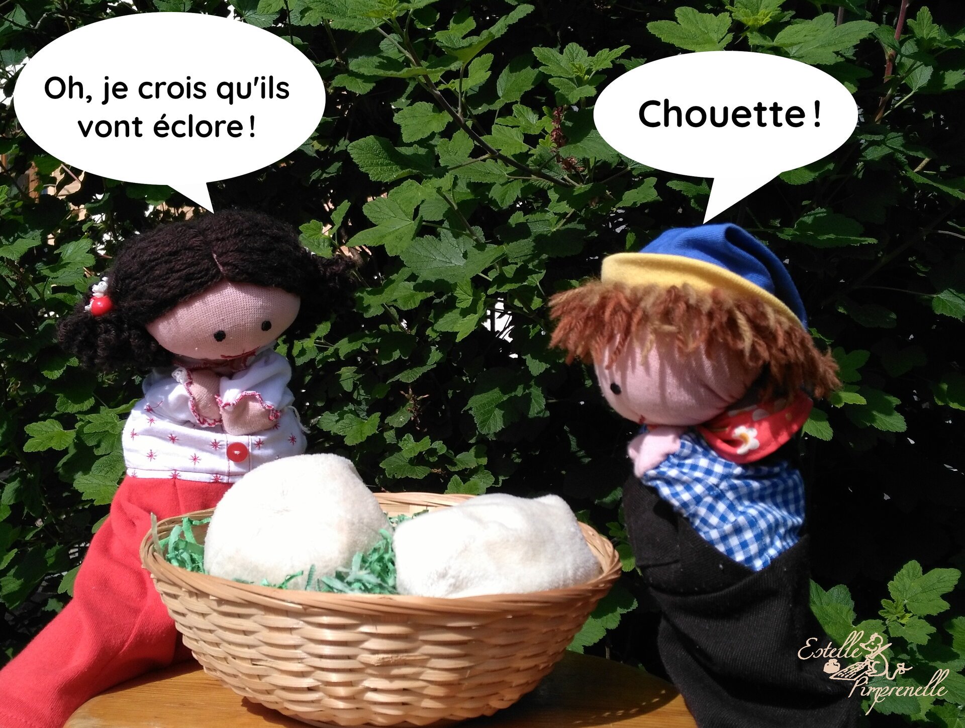 Les oeufs vont éclore